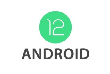 Android 12 Developers Preview 2.1
