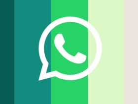 Función Reportar WhatsApp
