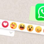 Reacciones en WhatsApp para Android