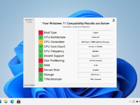 Descargar WhyNotWin11