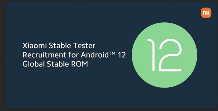 Android 12 Beta publica Xiaomi