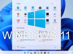 Forzar la actualización a Windows 11