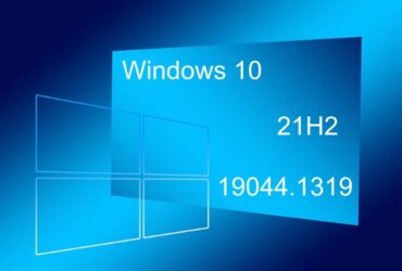 Windows 10 (21H2) 19044.1319