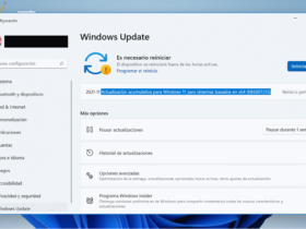 Actualización acumulativa Windows 11 KB5007215