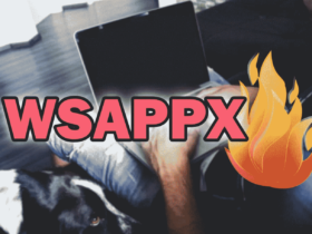 ¿Qué es el proceso Wsappx?