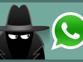 WhatsApp ya no dejará que te espíen