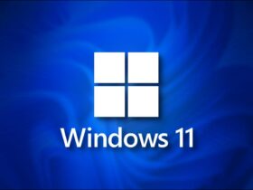 Aplicaciones nativas de Windows 11