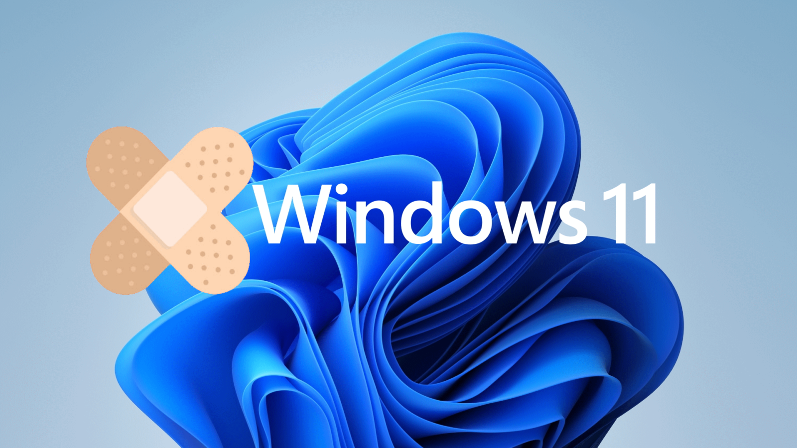 Windows 11 KB5009566