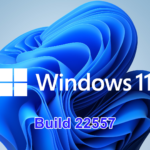 Novedades Windows 11 Build 22557