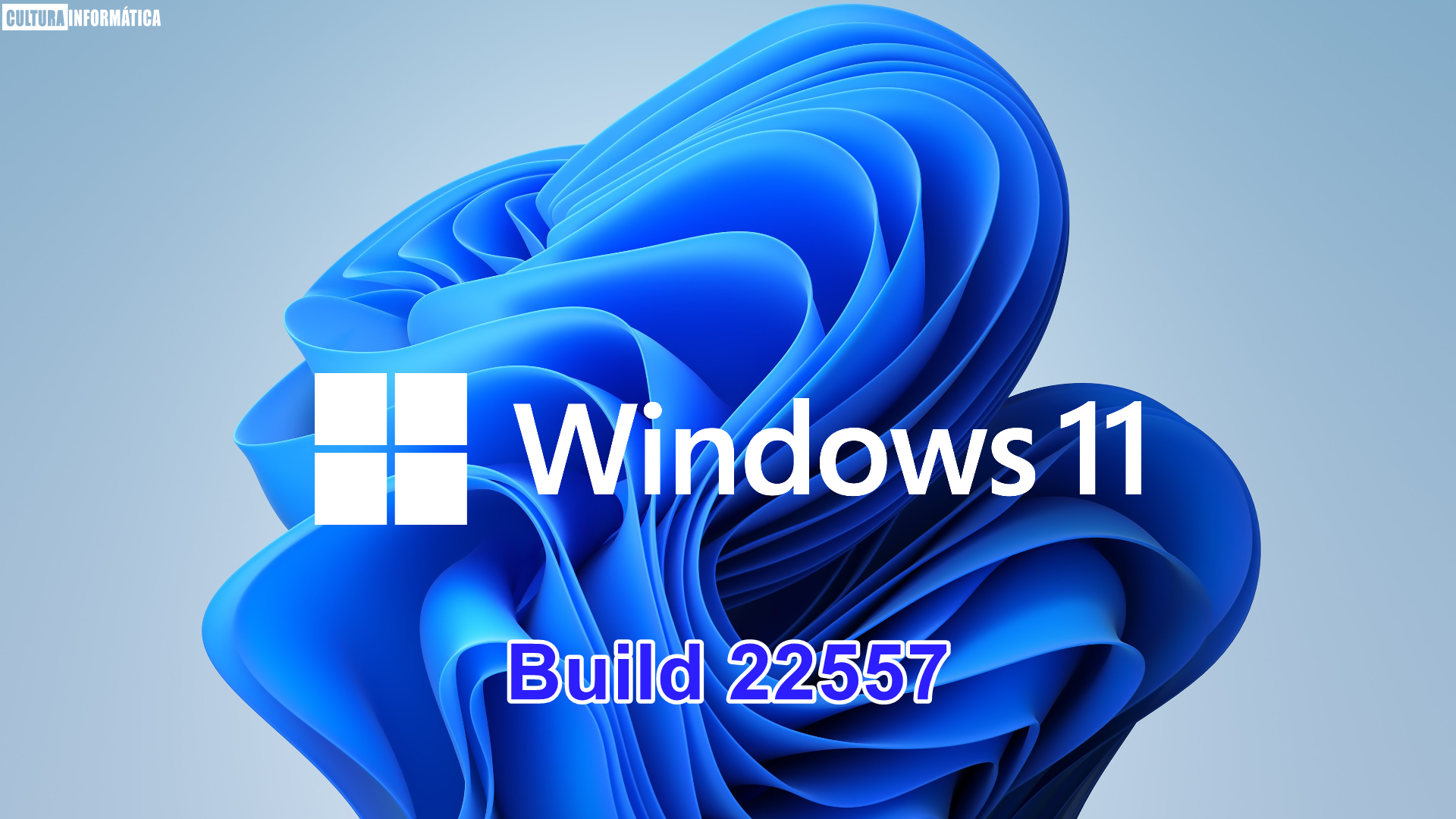 Novedades Windows 11 Build 22557