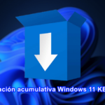 Actualización acumulativa Windows 11 KB5011493