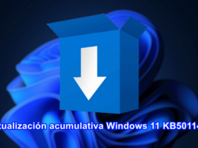 Actualización acumulativa Windows 11 KB5011493