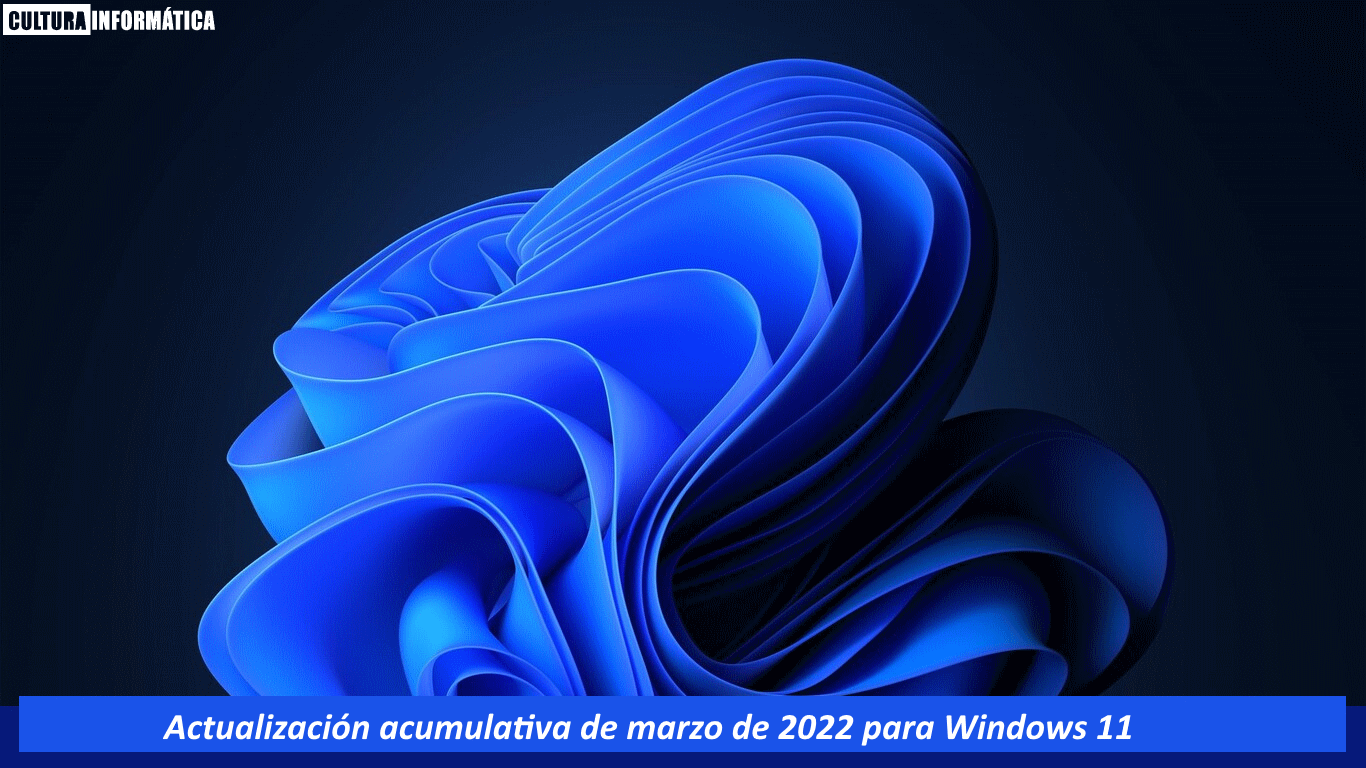 Actualización acumulativa Windows 11 KB5011493 