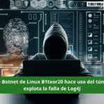 Nuevo Botnet de Linux B1txor20