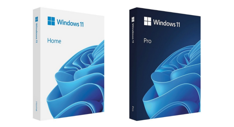 Cajas físicas de Windows 11