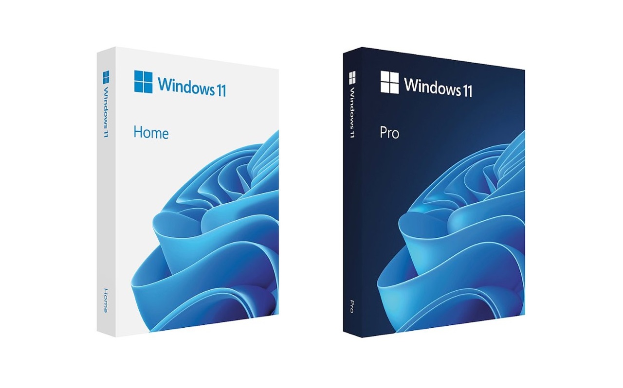 Cajas físicas de Windows 11