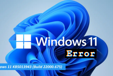 Error Windows 11 KB5013943