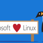 Microsoft llevará Linux XDP a Windows