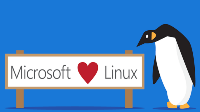 Microsoft llevará Linux XDP a Windows