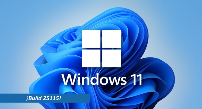 Windows 11 Build 25115