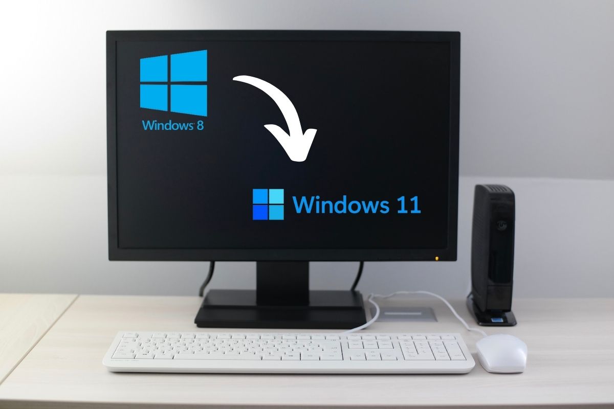 Actualizar Windows 11 desde Windows 8.1