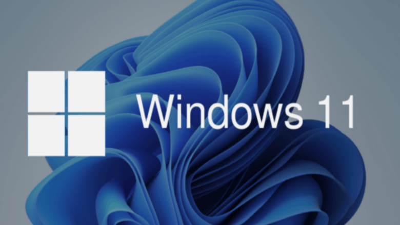 Error en Windows 11 Build 22621