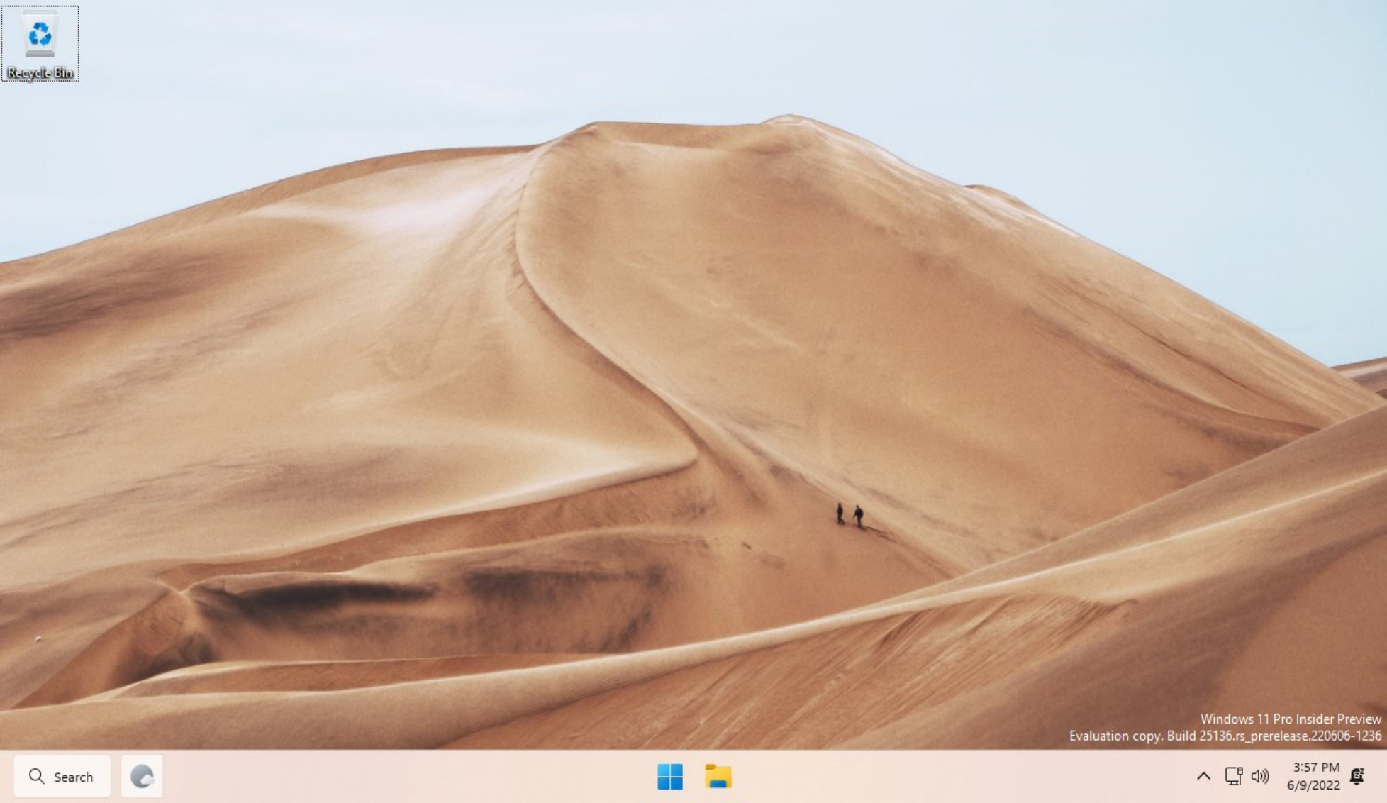Nuevo widget de búsqueda en Windows 11