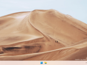 Nuevo widget de búsqueda en Windows 11