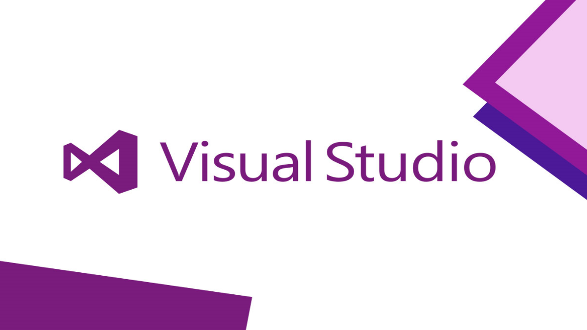 Windows 11 presenta problemas con Visual Studio y otras aplicaciones .NET
