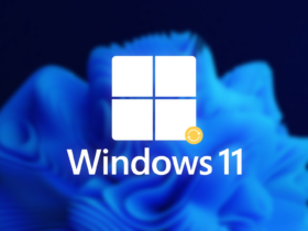 El Canal Beta de Windows 11 se divide en 2