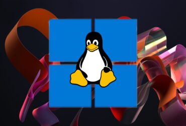 Acceder a tus particiones de Linux desde Windows