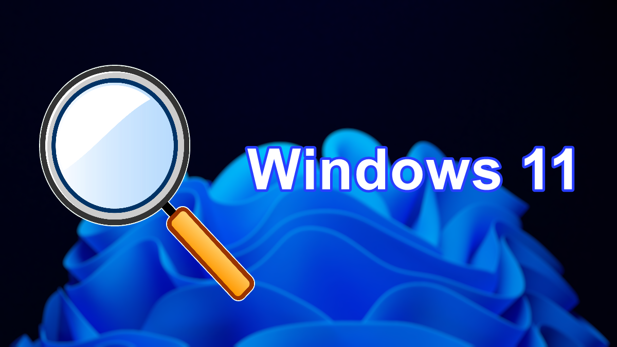 Nueva función de búsqueda en Windows 11
