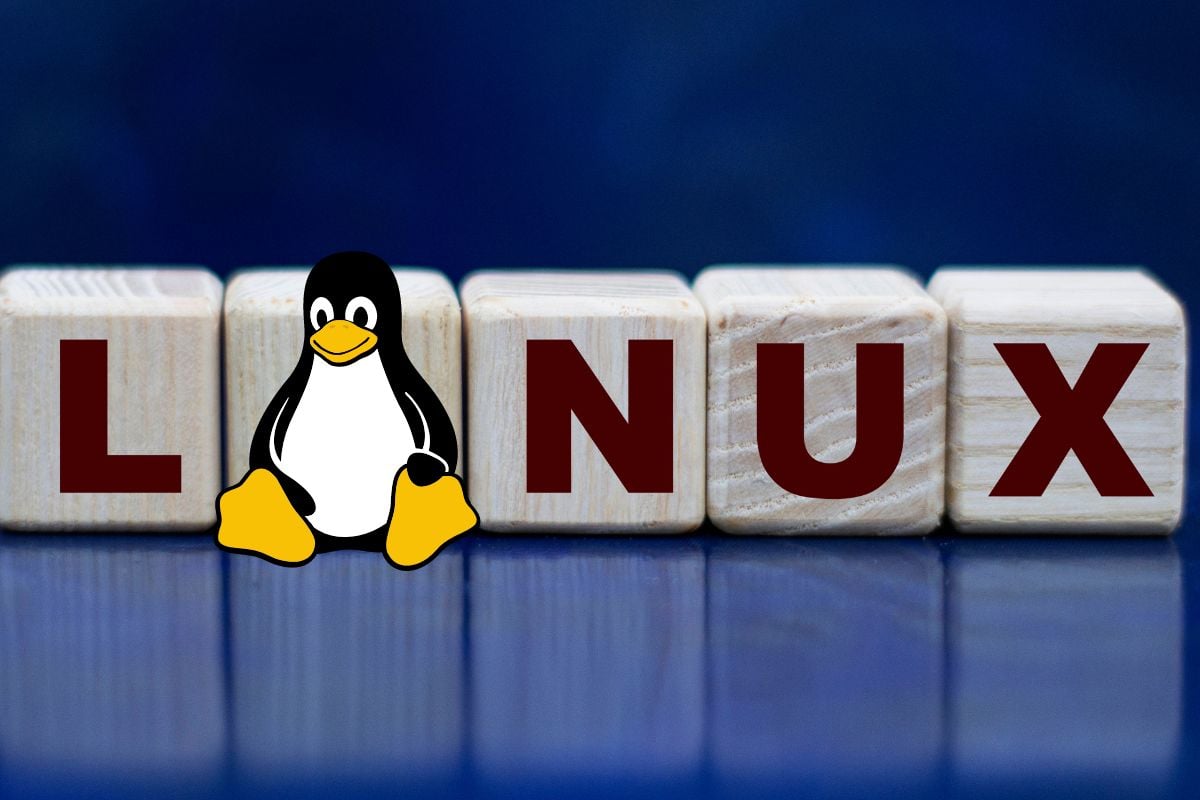 Particiones de Linux desde Windows
