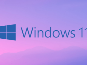 Windows 11 Build 22621.598 y Build 22622.598 (KB5017390)