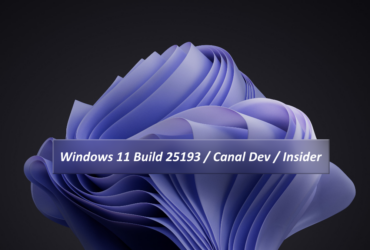Windows 11 Build 25193