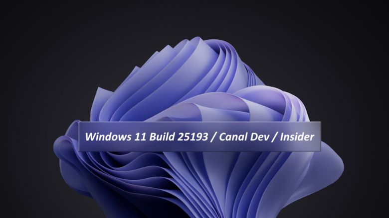 Windows 11 Build 25193