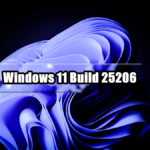 Windows 11 Build 25206