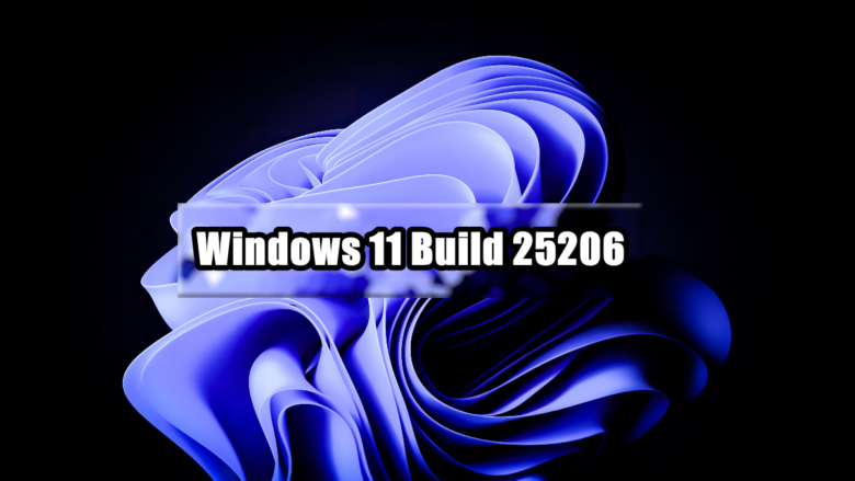 Windows 11 Build 25206