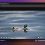 DuckDuckGo para Mac