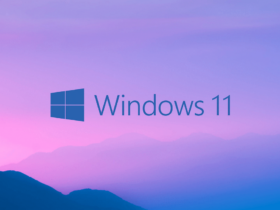 Windows 11 KB5019509
