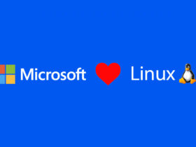 Diferencias entre Windows y Linux