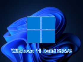 Windows 11 Build 25276