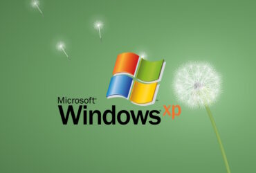 Logos de Windows XP