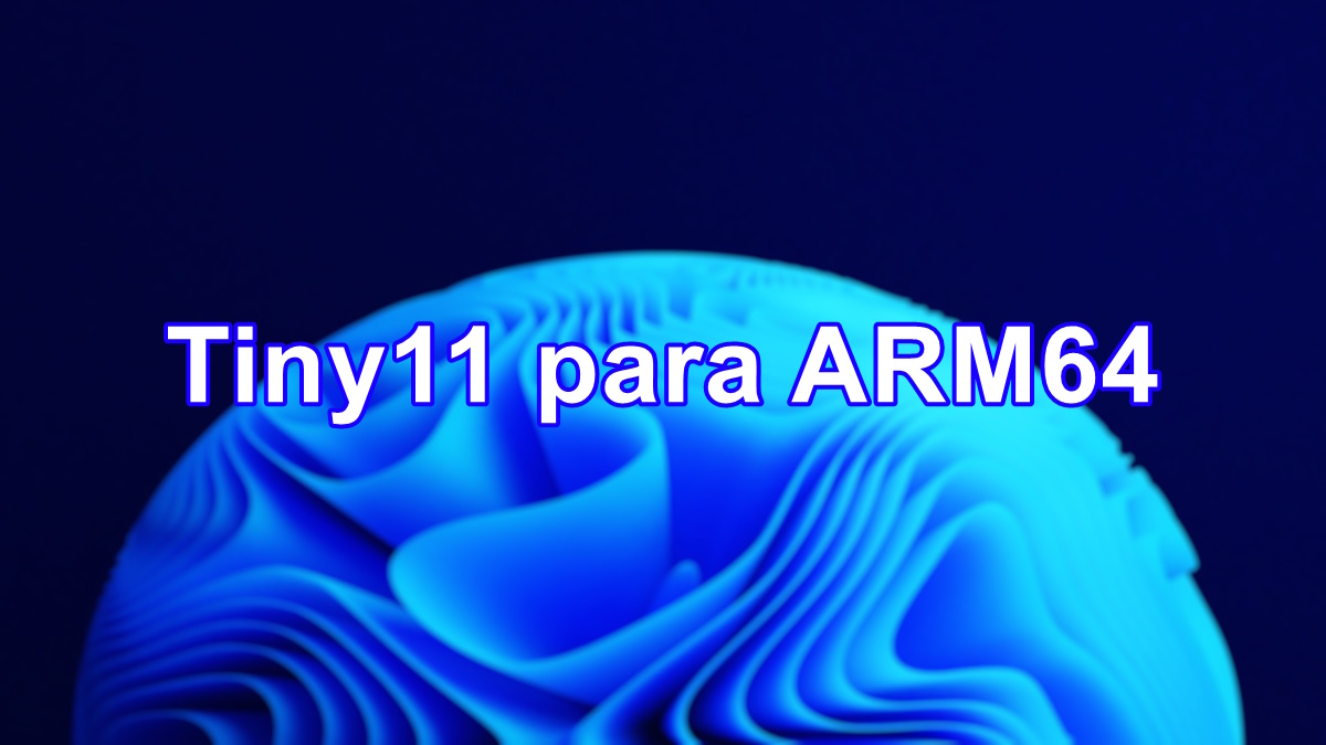 Tiny11 para ARM64
