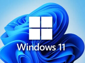 Windows 11 Build 25295