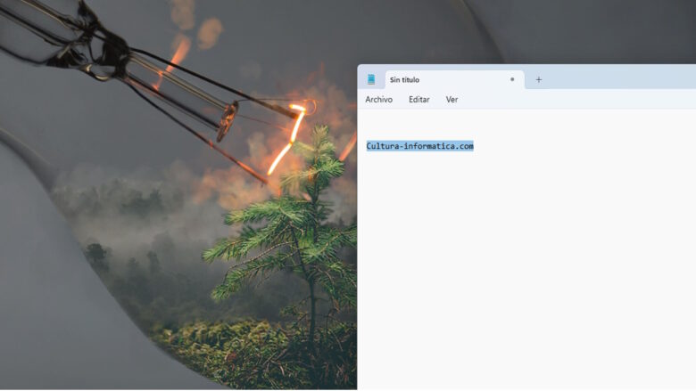 El Bloc de notas de Moment 2 para Windows 11 trae problemas