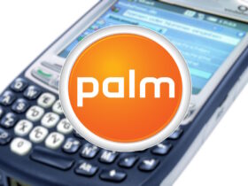 Historia de Palm