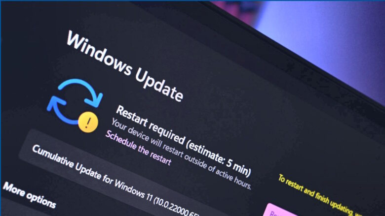 Windows 11 Build 22621.1465 y 22624.1465