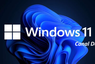 Windows 11 Build 25309