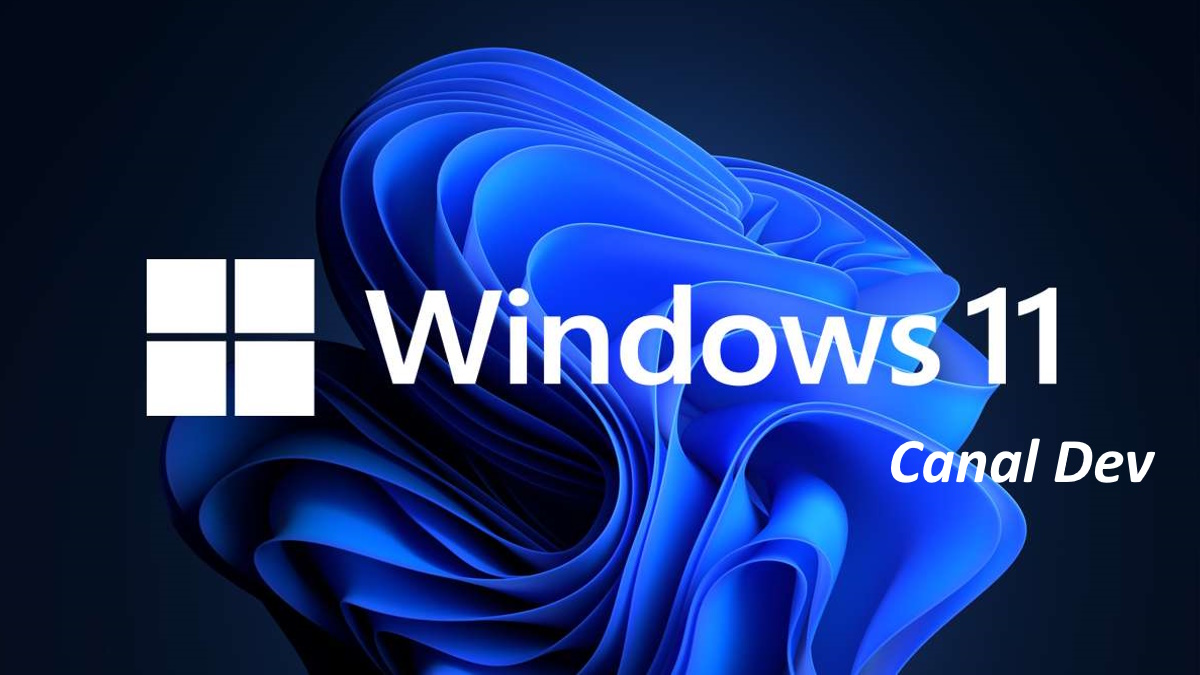 Windows 11 Build 25309